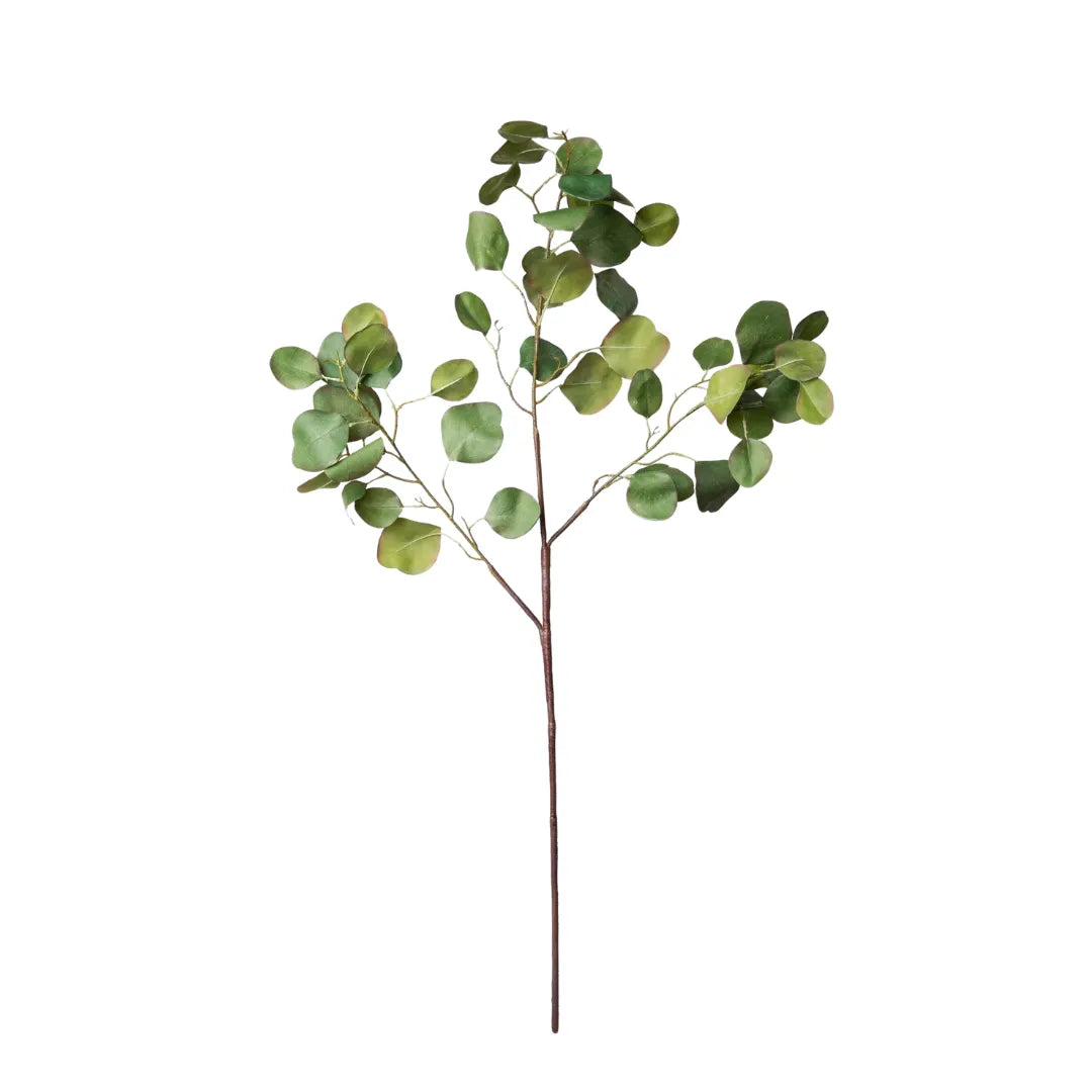 Planta Artificial Ramo de Eucalipto Silver Dollar - sem vaso