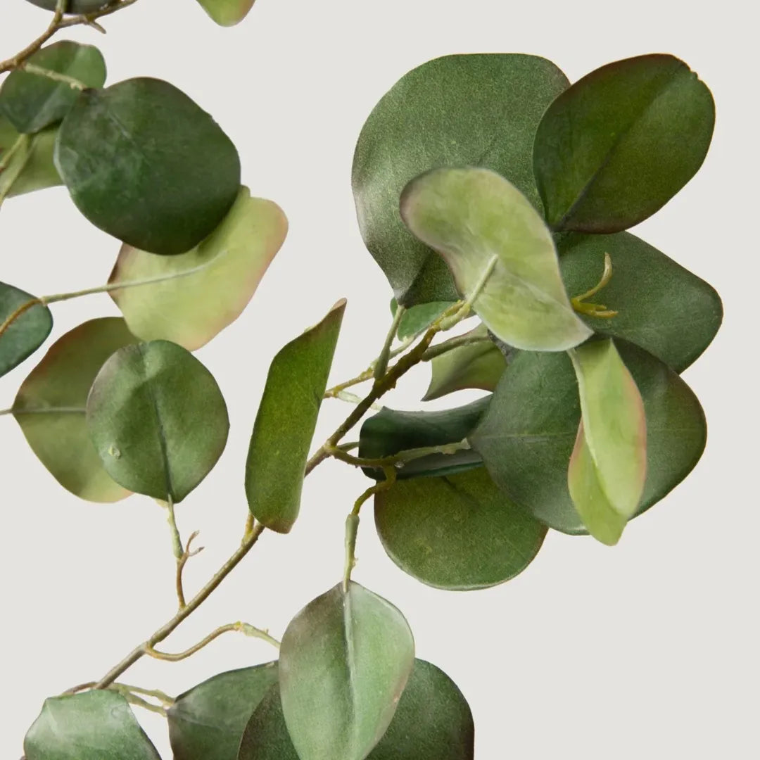 Planta Artificial Ramo de Eucalipto Silver Dollar - sem vaso